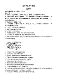 2025邯郸高二上学期11月期中考试生物含解析