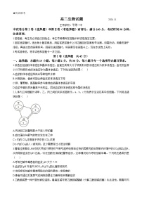 山东省德州市2024-2025学年高二上学期11月期中生物试题(无答案)