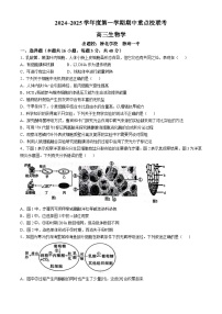 天津市五区县重点校联考2024-2025学年高三上学期期中考试生物试题