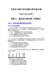 【高考生物】  高考真题分类汇编合集（2020-2024五年）专题09  基因的分离定律