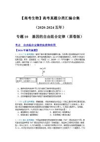 【高考生物】 高考真题分类汇编合集（2020-2024五年）专题10 基因的自由组合定律