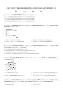 2024～2025学年安徽芜湖镜湖区安徽师范大学附属中学高二(上)期中生物试卷(11月)[原题+解析]