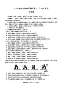 生物丨陕西省西安市（高新第一中学、安康市高新中学、宝鸡中学）2022级2025届高三上学期11月联考生物试卷及答案