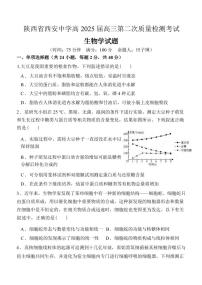 生物丨陕西省西安中学高2025届高三上学期11月第二次调研考试生物试卷及答案