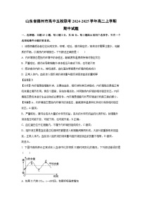 山东省德州市高中五校联考2024-2025学年高二上学期期中生物试卷（解析版）