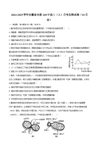 2024-2025学年安徽省合肥168中高三（上）月考生物试卷（10月份）（含答案）