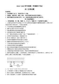 江苏省连云港市东海县2024-2025学年高二上学期期中考试生物试题