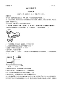 山东省泰安市2024-2025学年高二上学期11月期中生物试题(无答案)