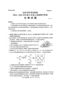 山东省名校考试联盟2024-2025学年高三上学期期中考试生物试题（含答案）