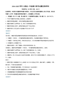 河南省郑州市十校2024-2025学年高一上学期期中联考生物试卷（Word版附解析）