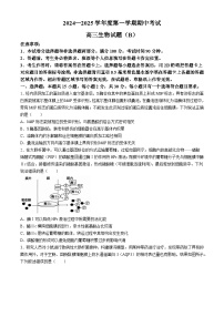 山东省菏泽市2024-2025学年高三上学期11月期中生物试题