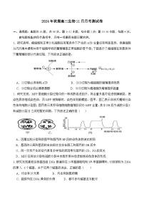 广西钦州市灵山县2024-2025学年高三上学期11月月考生物试题