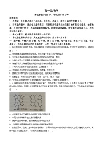 广东省部分学校2024-2025学年高一上学期期中联考生物试题