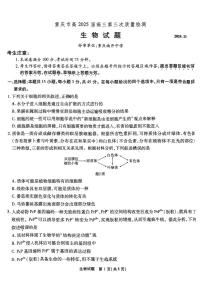 2025届重庆市南开中学高三上学期11月考-生物试卷+答案