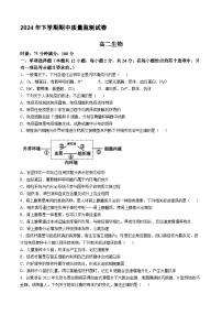 湖南省浏阳市2024-2025学年高二上学期期中质量检测生物试卷（Word版附答案）