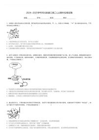 2024～2025学年河北张家口高二(上)期中生物试卷[原题+解析]