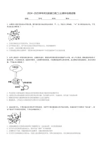 2024～2025学年河北张家口高二(上)期中生物试卷[原题+解析]