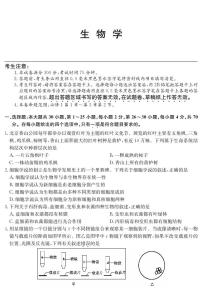 广东省深圳市盟校联盟2024-2025学年高一上学期11月期中考试生物试卷（PDF版附解析）