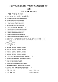 甘肃省兰州第一中学2024-2025学年高二上学期11月期中考试生物试卷（Word版附解析）