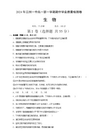 甘肃省兰州第一中学2024-2025学年高一上学期11月期中考试生物试卷（Word版附答案）