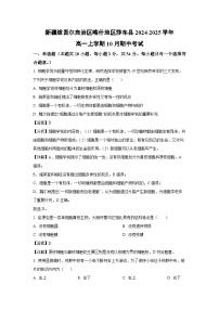 新疆维吾尔自治区喀什地区莎车县2024-2025学年高一上学期10月期中考试生物试卷（解析版）