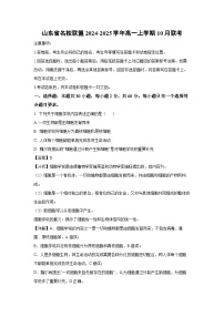 山东省名校联盟2024-2025学年高一上学期10月联考生物试卷（解析版）