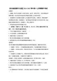 四川省成都市九县区2024-2025学年高一上学期期中考试生物试卷（解析版）