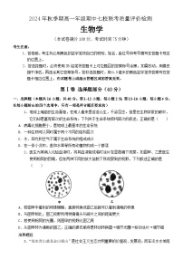 广西壮族自治区容县七校2024-2025学年高一上学期期中联考生物试题