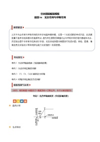 【高考生物】答题技巧与模板构建题型06 光合作用与细胞呼吸大题（4大考向模型解题）-试卷