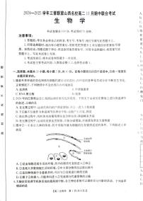 山西省三晋联盟山西名校2024-2025学年高二上学期11月期中联合考试生物试题