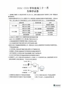 湖北省武汉市江岸区2024-2025学年高三上学期11月调考生物试卷