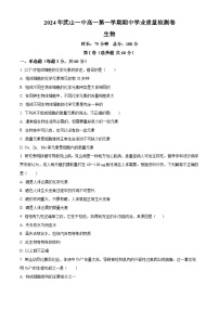 精品解析：甘肃省天水市武山县第一高级中学2024-2025学年高一上学期11月期中生物试题