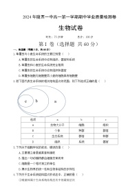 甘肃省定西市陇西县陇西县第一中学2024-2025学年高一上学期11月期中生物试题