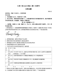 安徽省江淮十校2025届高三上学期高考第二次联考生物试题+答案