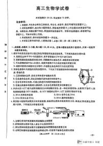 陕西省渭南市韩城市2024-2025学年高三上学期期中考试生物试题