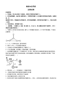 四川省南充市嘉陵区四川省南充市嘉陵第一中学2024-2025学年高二上学期11月期中生物试题