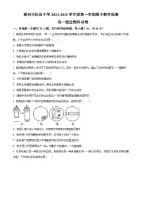 精品解析：广东省潮州市松昌中学2024-2025学年高一上学期期中考试生物试题