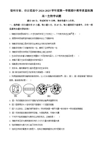 精品解析：安徽省宿州市皖北联考2024-2025学年高一上学期11月期中生物试题