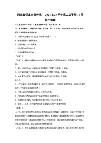 河北省保定市部分高中2024-2025学年高二上学期10月期中生物试卷（解析版）