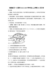 河南省天一大联考2024-2025学年高二上学期10月月考生物试卷（解析版）