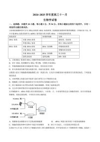 湖北省武汉市江岸区2024～2025学年高三(上)11月调考生物试卷(有答案)