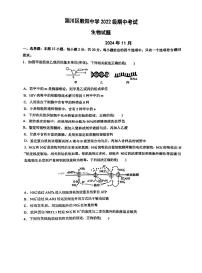 山东省淄博市淄川区般阳中学2024-2025学年高三上学期11月期中生物试题