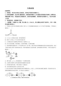 四川省南充市嘉陵区四川省南充市嘉陵第一中学2024～2025学年高二(上)期中生物试卷(含答案)