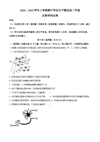 精品解析：河南省郑州市第一〇七高级中学2024-2025学年高二上学期期中考试生物试题