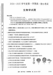 安徽省滁州市滁州九校联考2024—2025学年高一上学期期中考试生物试题