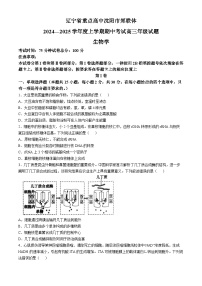 辽宁省沈阳市郊联体2024-2025学年高三上学期11月期中生物试题（含答案）