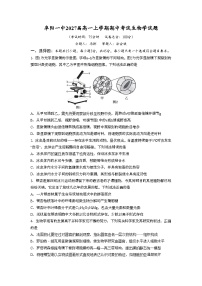 安徽省阜阳市第一中学2024-2025学年高一上学期期中生物试卷（Word版附答案）