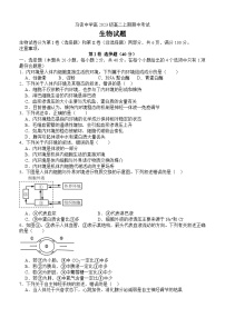 四川省合江县马街中学2024-2025学年高二上学期期中考试生物试题