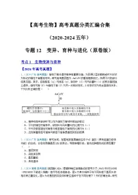 【高考生物】 高考真题分类汇编合集（2020-2024五年）专题12 变异、育种与进化