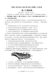 河南省项城市第三高级中学2024-2025学年高三上学期第二次考试（期中）生物试题